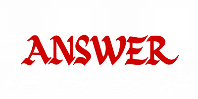 Answer Computer India-Logo