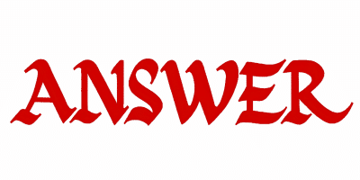 Answer Computer India Logo