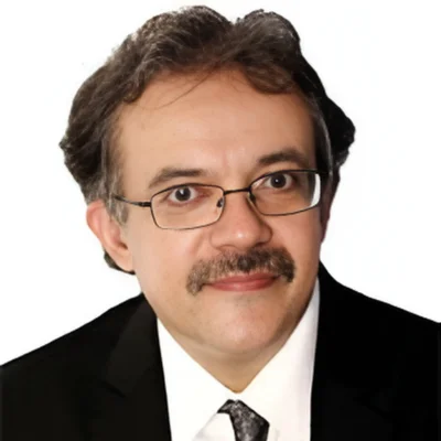 Vikram Seth Sales Partner